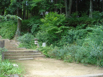 䒸ւ̓